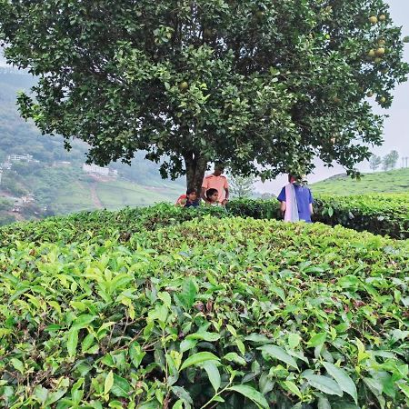 Munnar Tent Hills Resort Devikolam Dış mekan fotoğraf