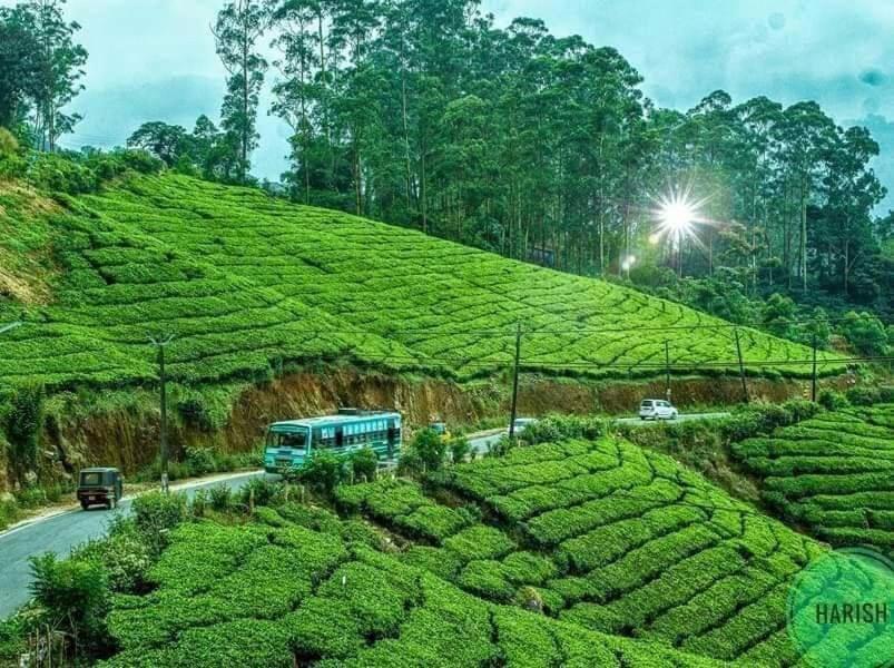 Munnar Tent Hills Resort Devikolam Dış mekan fotoğraf