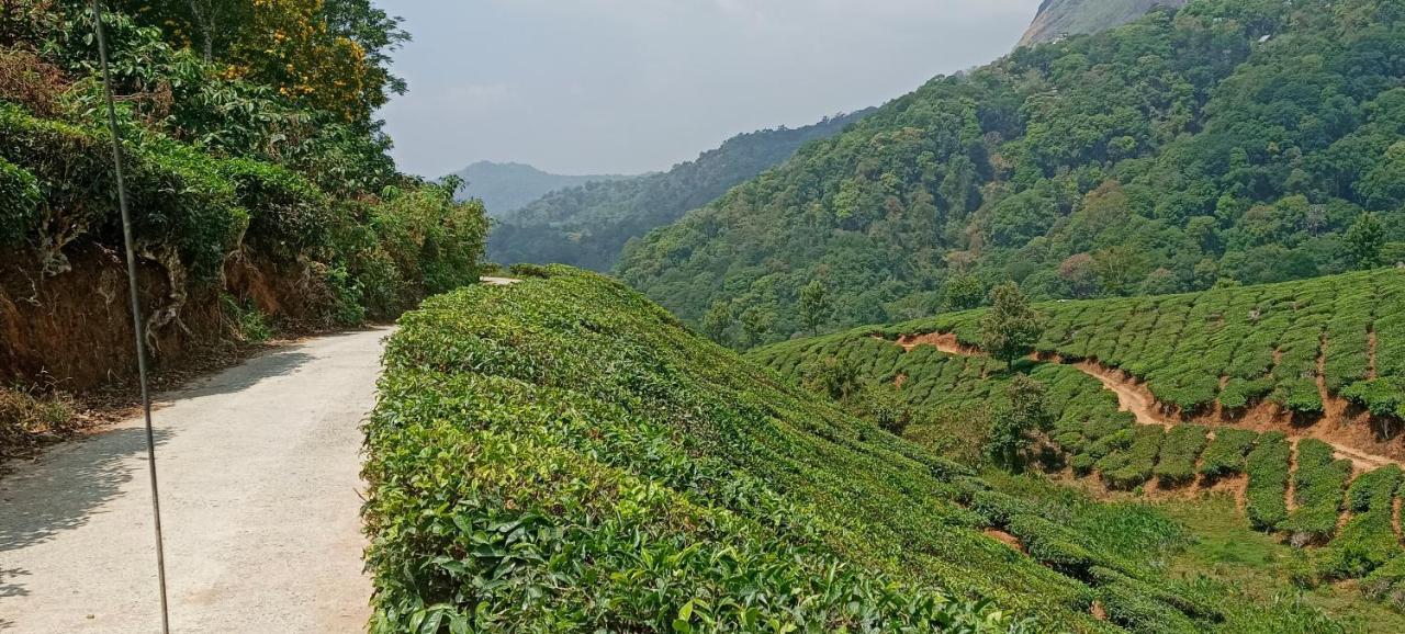 Munnar Tent Hills Resort Devikolam Dış mekan fotoğraf
