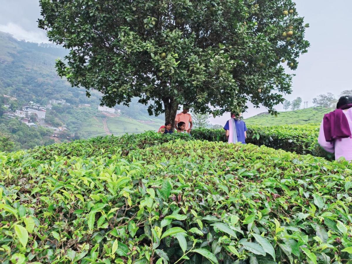 Munnar Tent Hills Resort Devikolam Dış mekan fotoğraf